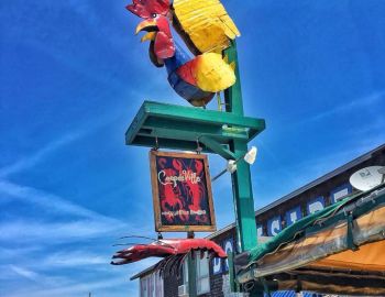 Coop DeVille Sign Coop DeVille Sign